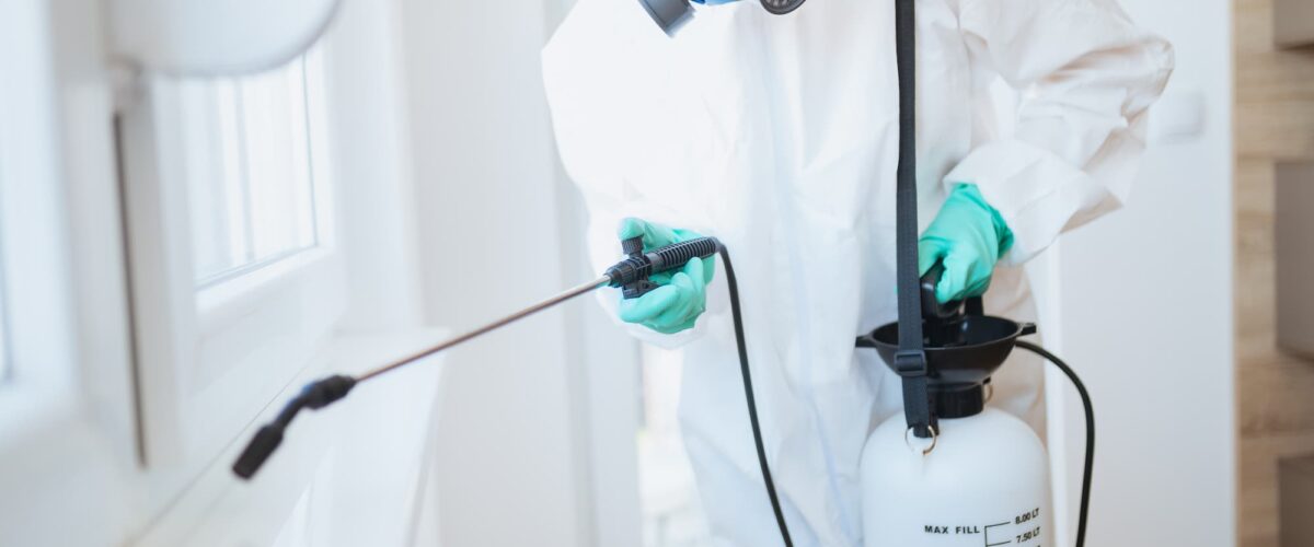 DÉSINSECTISATION PROFESSIONNEL 1 1200X500 | NGAN Désinsectisation pour particuliers et professionnels vers Besançon et Belfort Valentigney 1
