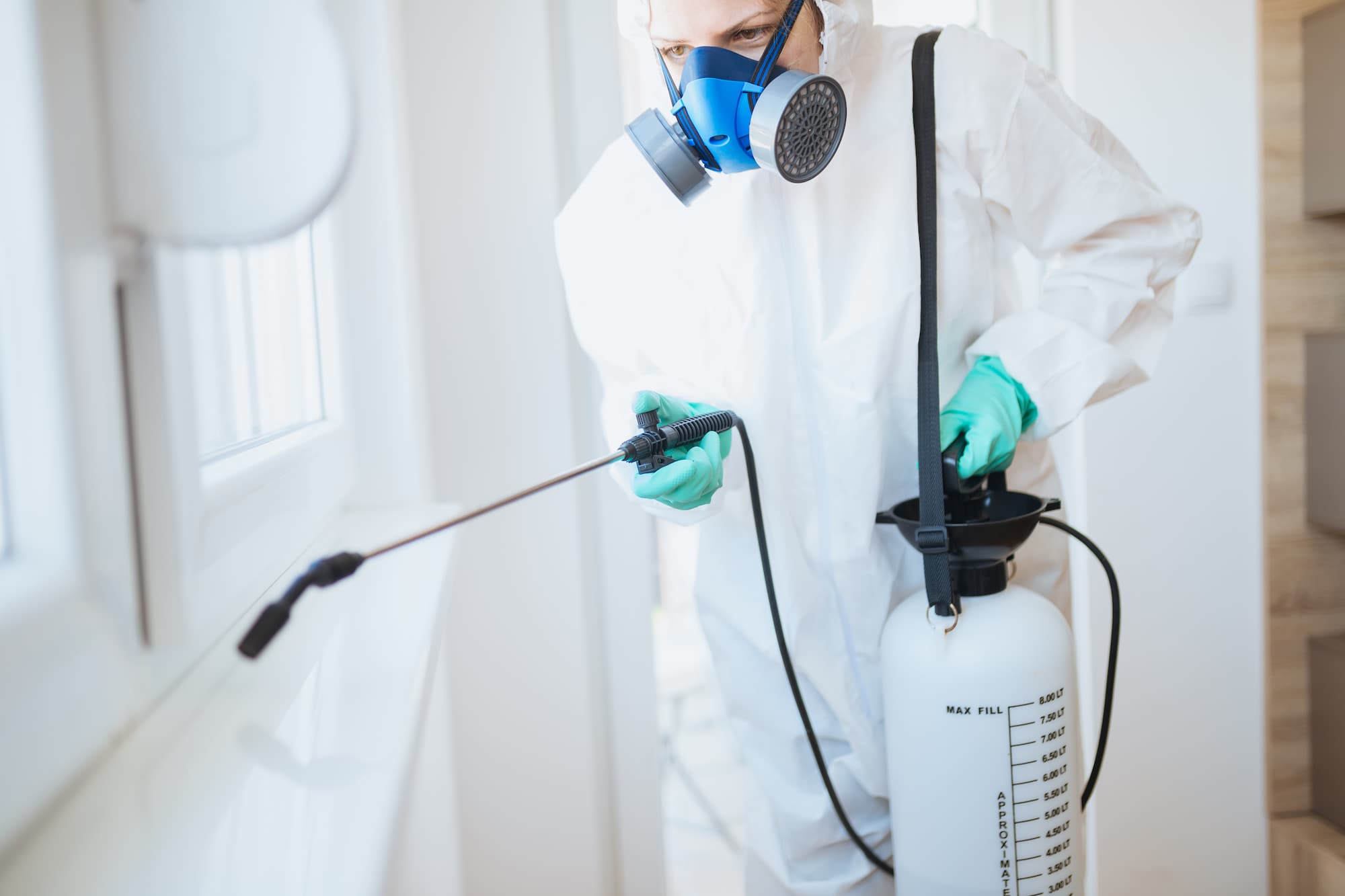 DÉSINSECTISATION PROFESSIONNEL | NGAN Pulvérisation ou gel goutte à goutte : quelle méthode est la plus efficace contre les fourmis ? Luxeuil-les-Bains