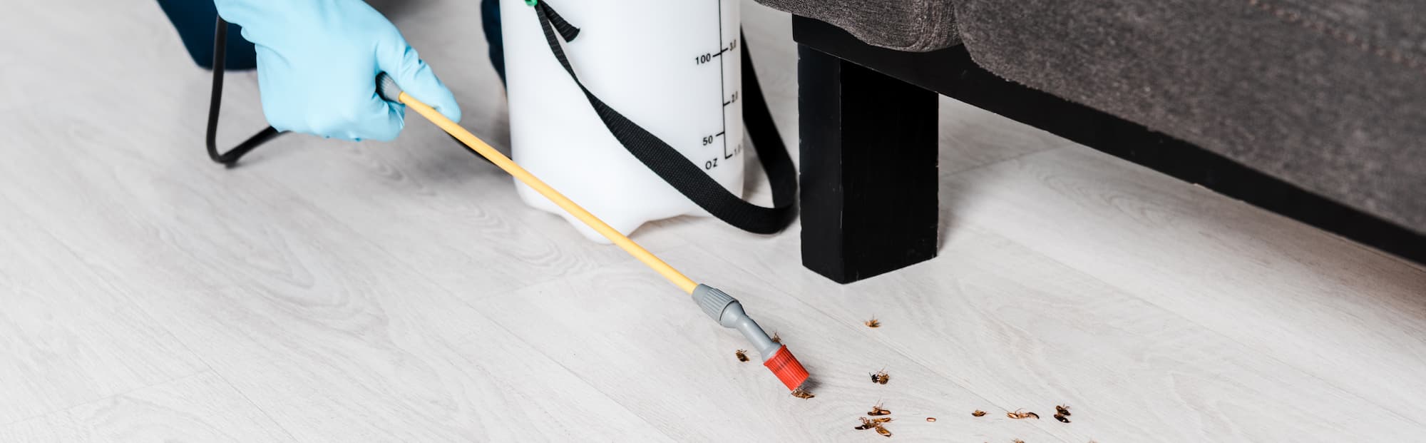 D&eacute;sinsectisation pour particuliers et professionnels vers Besan&ccedil;on et Belfort Morteau