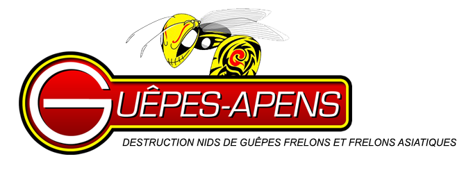 Guepes-apens Belfort